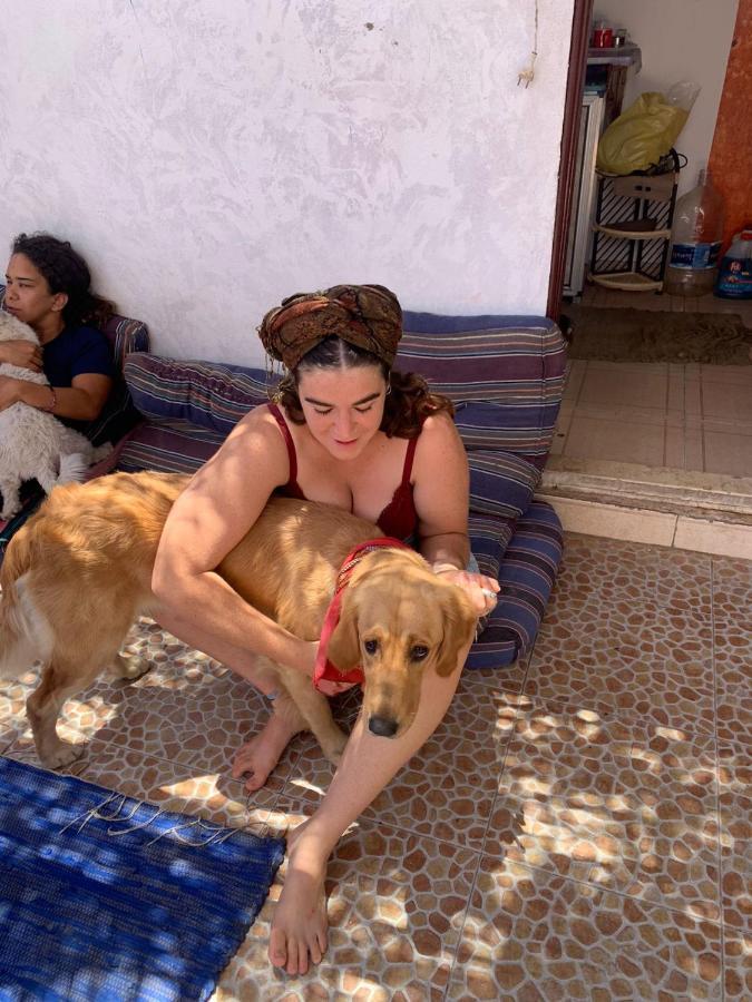 Dahab Tribe Guest House Екстериор снимка